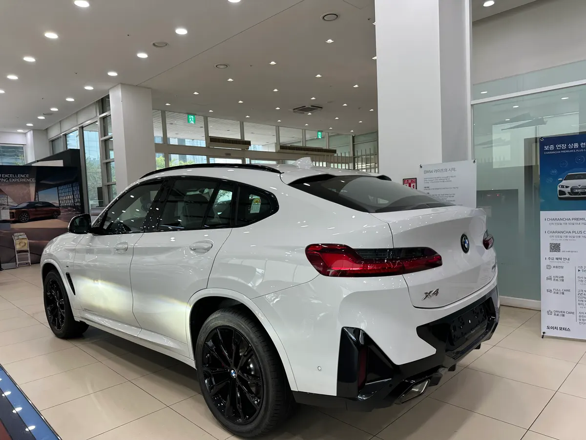 X4 xDrive20i M 스포츠 프로 사진 2